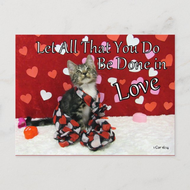 1 Corinthians 16:14 Bible Verse Postcard (Front)