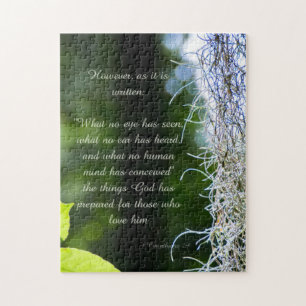 1 Corinthians 2 9 puzzle