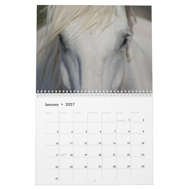 #1 Draught   Horses Calendar (Jan 2027)