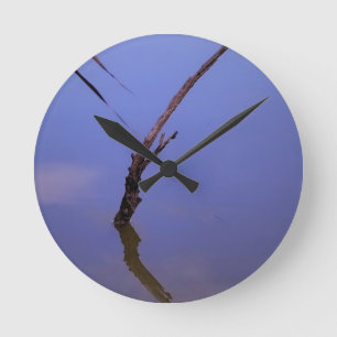 #1-Etang de Scamandre en Camargue.  Round Clock