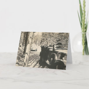 1 in 2 bears at car card