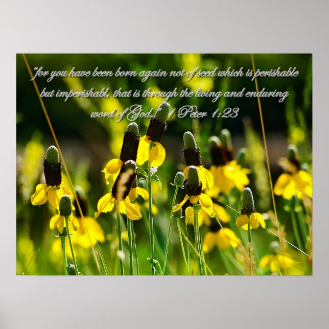 1 Peter 1:23 Inspirational Poster (Front)