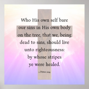 1 Peter 2:24  Poster