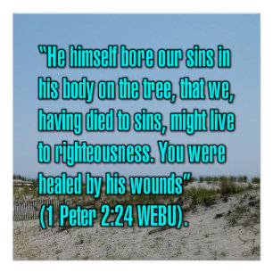 1 Peter 2:24 WEBU Poster