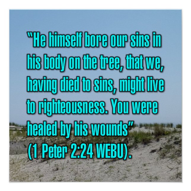 1 Peter 2:24 WEBU Poster (Front)