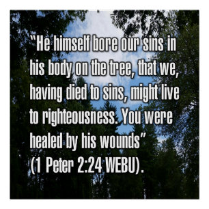 1 Peter 2:24 WEBU Poster