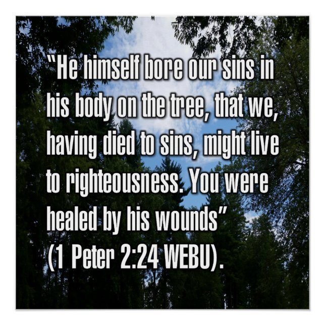 1 Peter 2:24 WEBU Poster (Front)