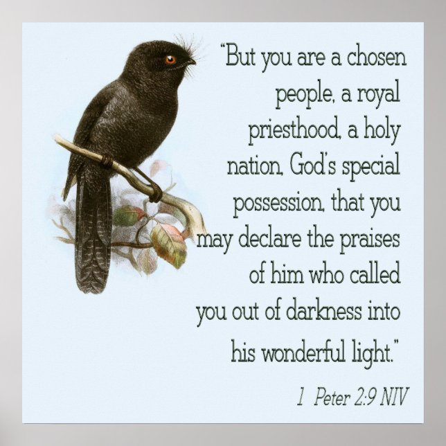 1 Peter 2:9 Christian Scripture Poster Bible Verse (Front)