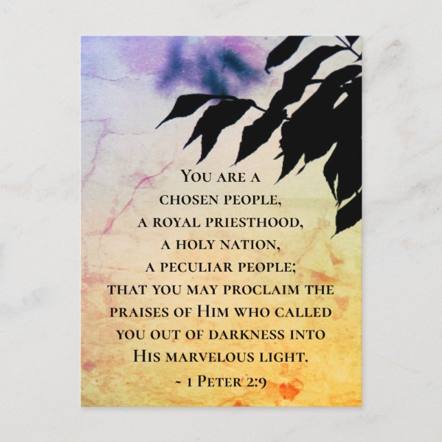 1 Peter 2:9 You are a Chosen People, Bible Postcard (Front)