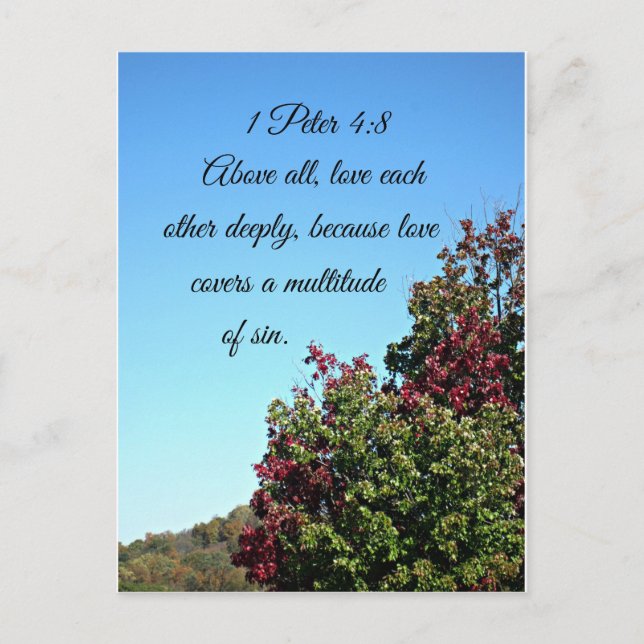 1 Peter 4:8 Above all, love each other deeply Postcard (Front)