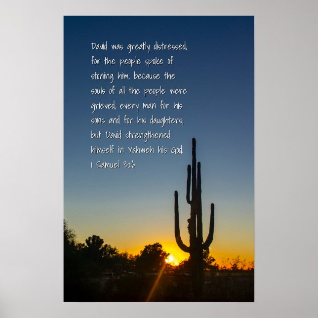 1 Samuel 30:6 Poster (Front)