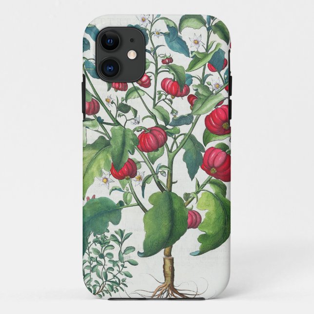 1.Solanum Pomiferum; 2.Amaracus vulgaris, from the Case-Mate iPhone Case (Back)