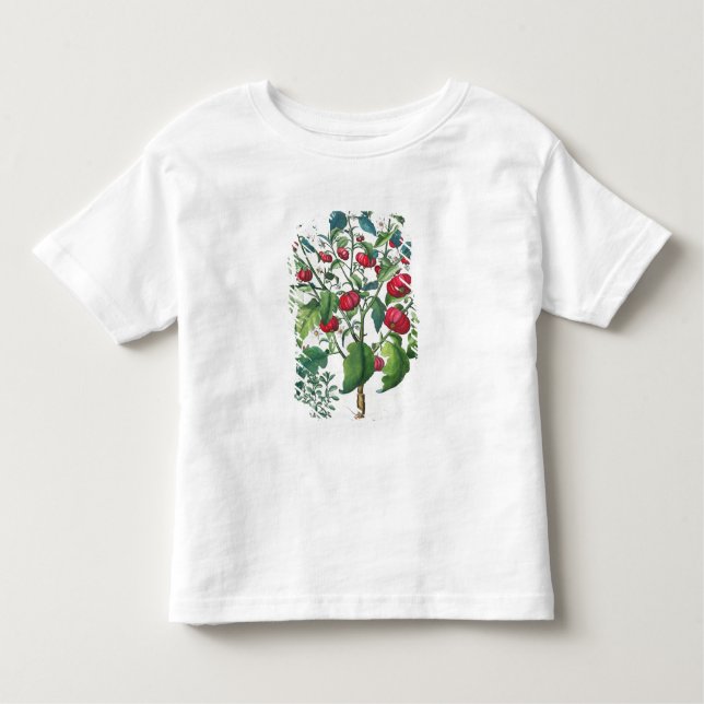 1.Solanum Pomiferum; 2.Amaracus vulgaris, from the Toddler T-Shirt (Front)