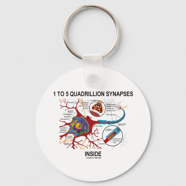 1 To 5 Quadrillion Synapses Inside (Neuron) Key Ring (Front)