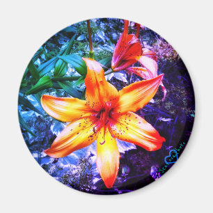 1DAYLILLY MAGNET