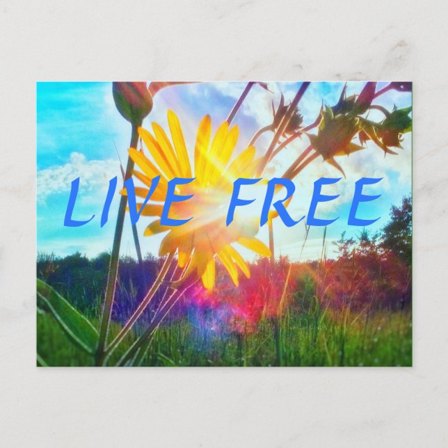 1LIVE FREE POSTCARD (Front)