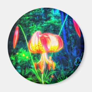 1MICHIGAN LILLY MAGNET