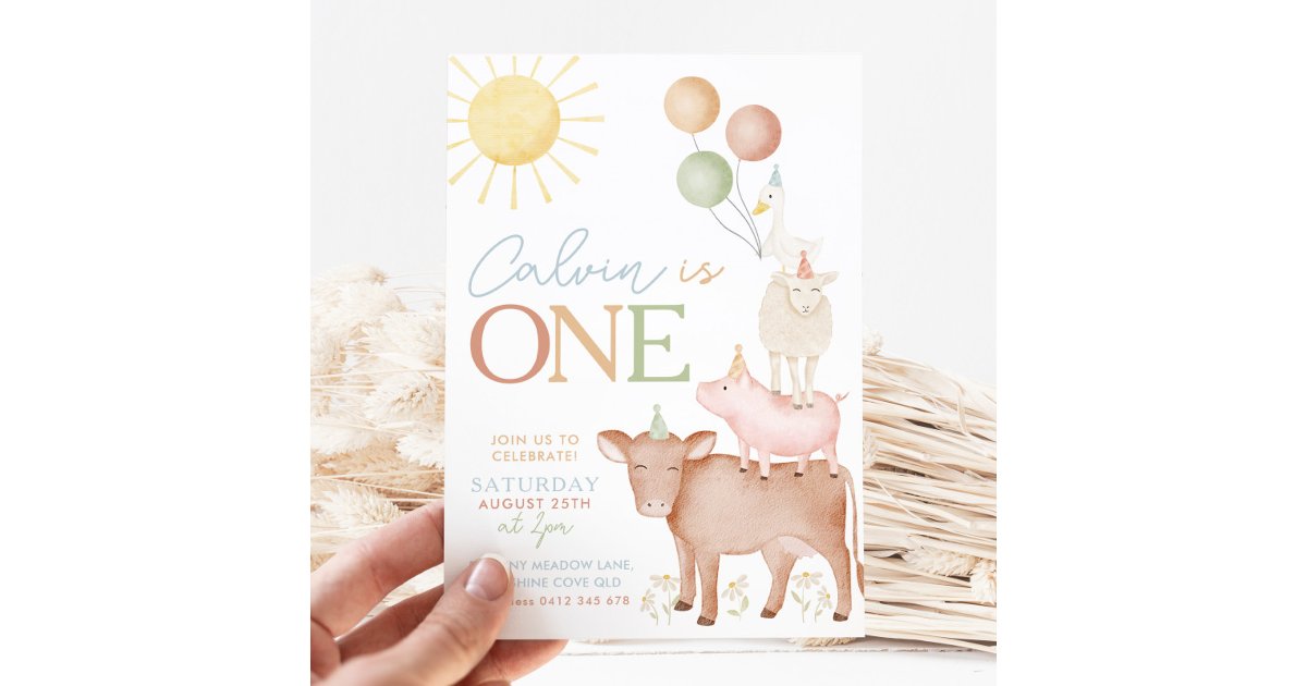 1st Birthday Farm Animals Barnyard Party Boys Invitation | Zazzle