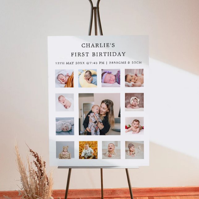 1St Birthday Monthly Photo Sign  (1St Birthday Monthly Photo Sign)