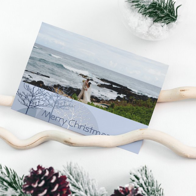 1st Christmas Blue Holiday Tree or Anyone Photo (Creator Uploaded)