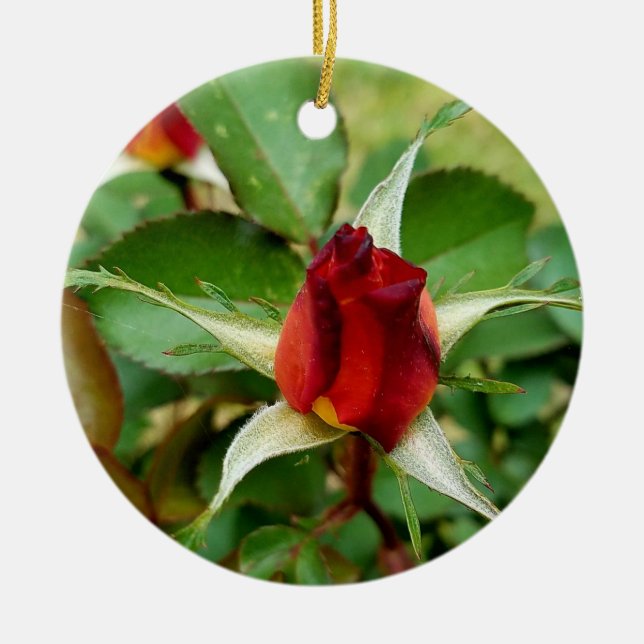 1st Christmas Red Rose Bloom Ceramic Ornament (Front)