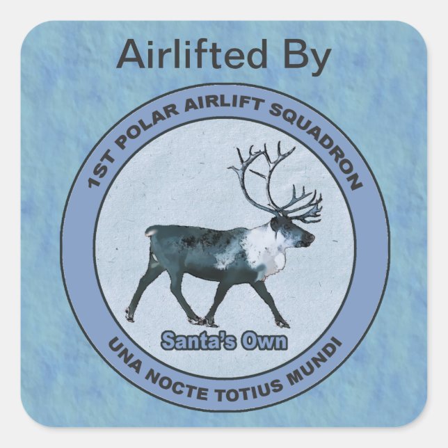1st Polar Airlift Squadron Special Delivery Square Sticker (Front)