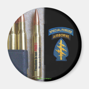 1st special forces flash patch vfw iraq vet magnet