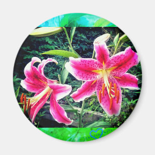 1STARGAZERS MAGNET
