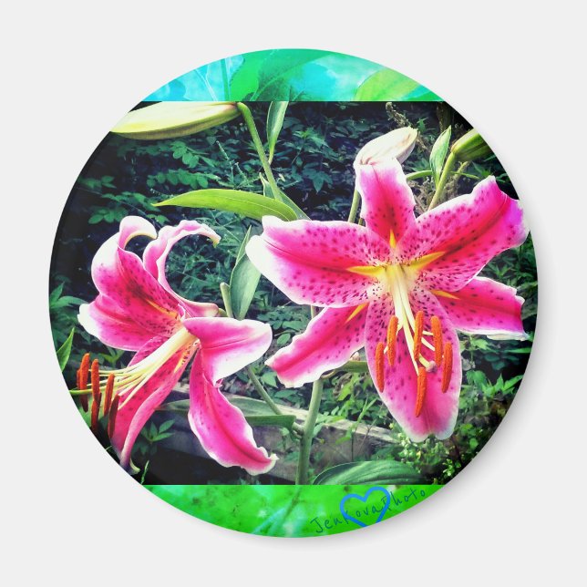 1STARGAZERS MAGNET (Front)