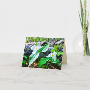 1TRILLIUMS GREETING CARD