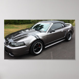 2000 mustang gt convertible poster