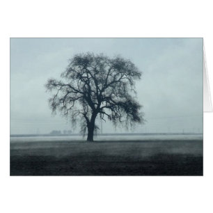 2004February 260