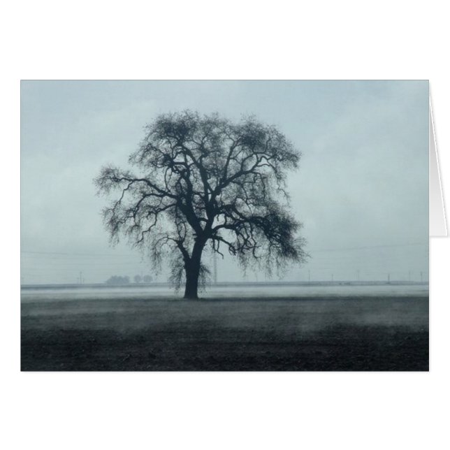 2004February 260 (Front Horizontal)