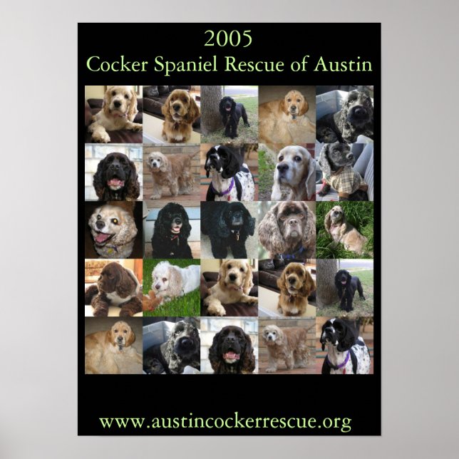 2005 Cocker Spaniel Rescue Poster (Front)