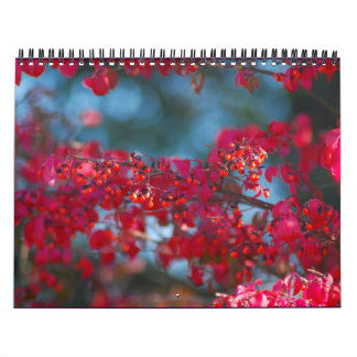 2007 Photo Calendar - Customised