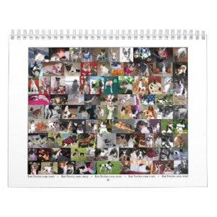 2007 Rat Terrier Calendar