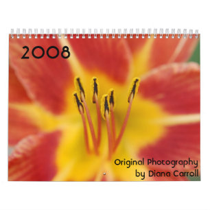 2008 Calendar by Diana Carroll