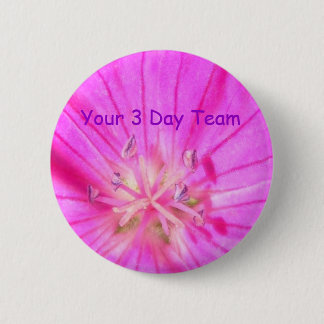 2009-1030, Your 3 Day Team button