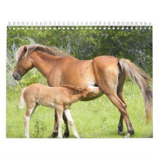 2009-7-23 Wright Corolla 00118 Calendar