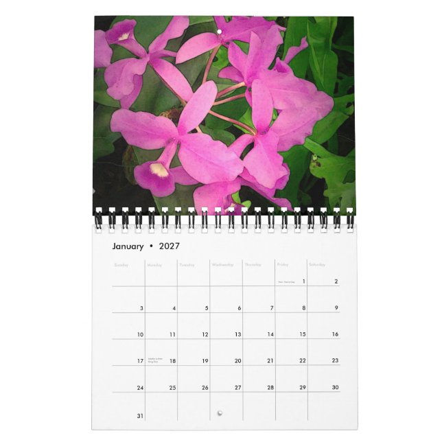 2009 Calendar: A Year of Orchids from Hawaii Calendar (Jan 2027)