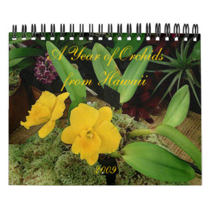 2009 Calendar: A Year of Orchids from Hawaii Calendar