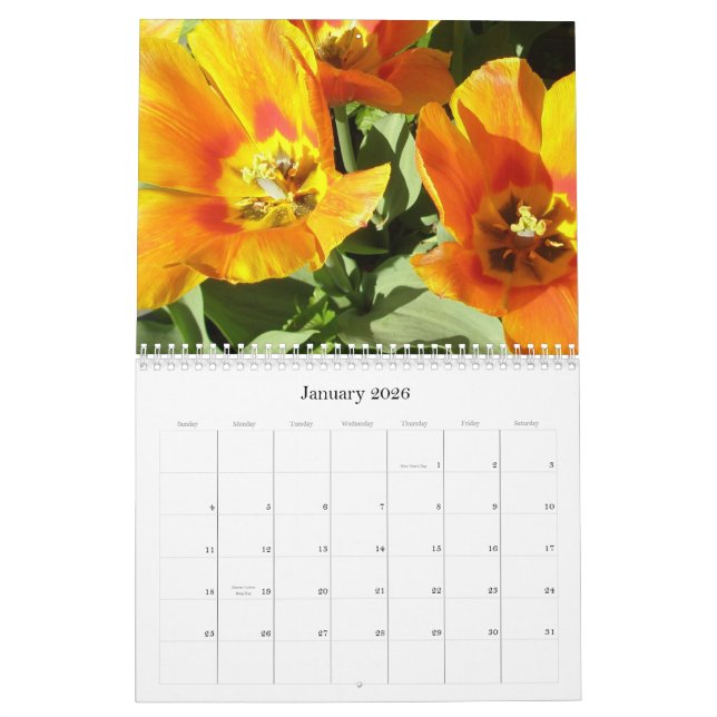 2009 Calendar photgraphed by Stacey Morris (Jan 2026)