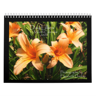 2009 Day Lily Calendar