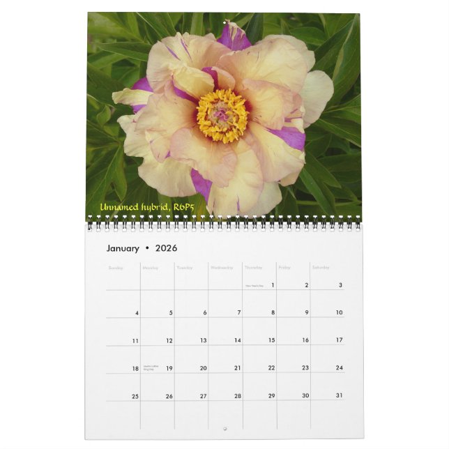 2009 Intersectional Peony Calendar - Customised (Jan 2026)