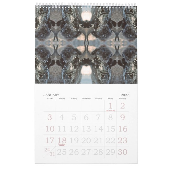 2009 Kaleidoscopes Calendar (Jan 2027)
