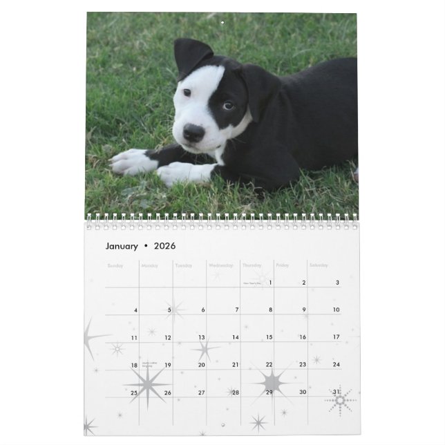 2009 Puppies Calender Calendar (Jan 2026)
