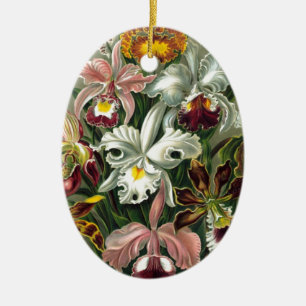 20101126181226!Haeckel_Orchidae.jpg Ceramic Ornament