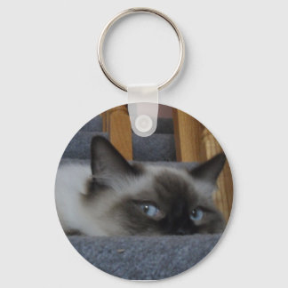 2010_03020009 KEY RING