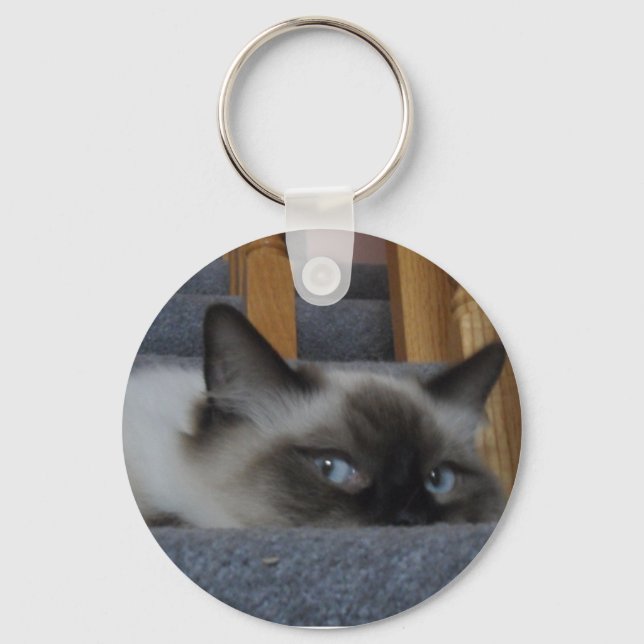 2010_03020009 KEY RING (Front)