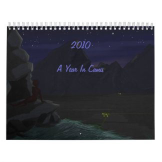 2010: A Year In Camis Calendar